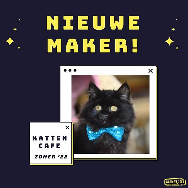 Kattenpraat