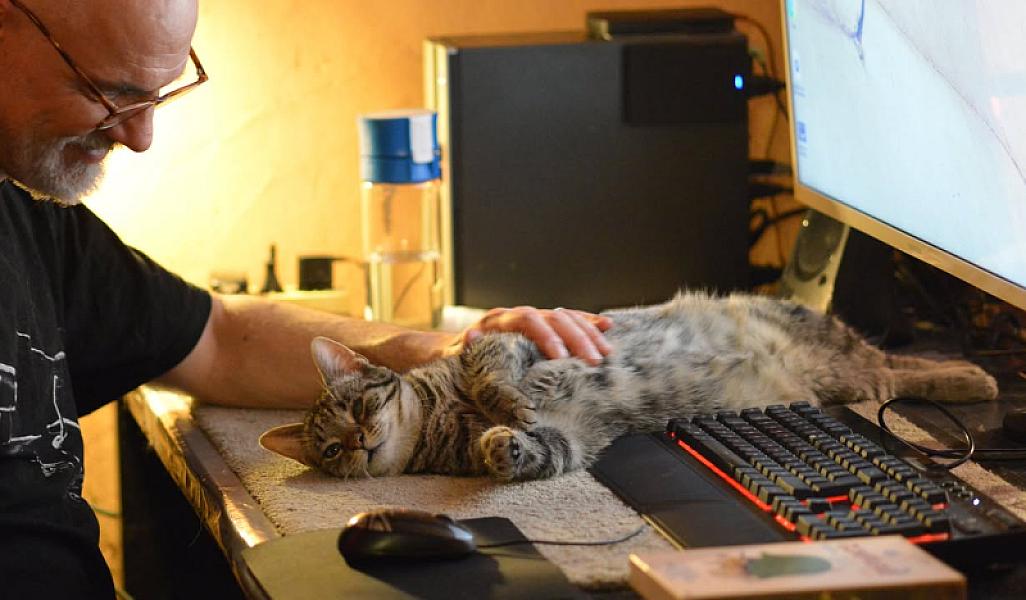 Kattenpraat