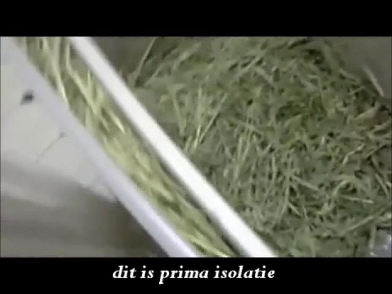 Kattenpraat