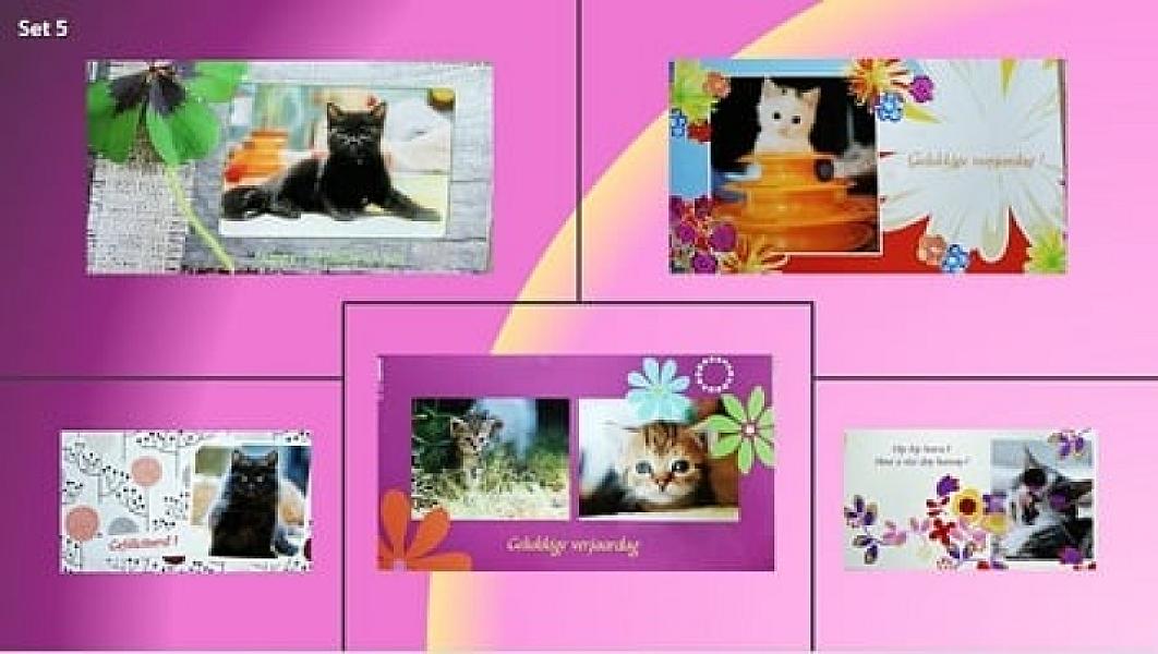Kattenpraat