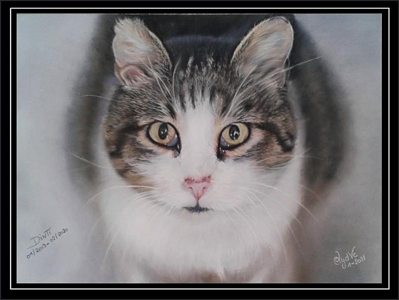 Kattenpraat