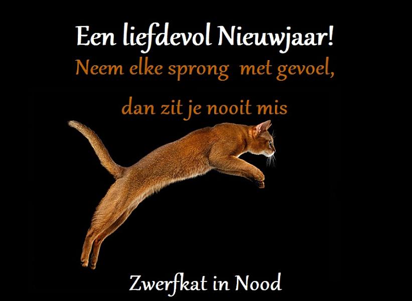 Kattenpraat