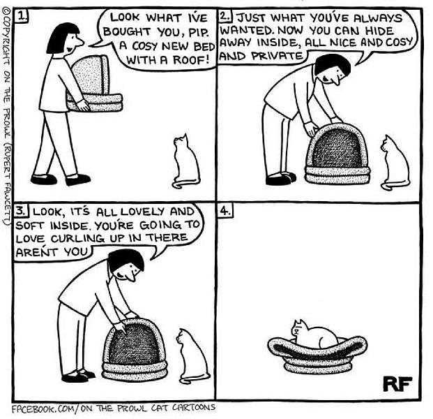 Kattenpraat