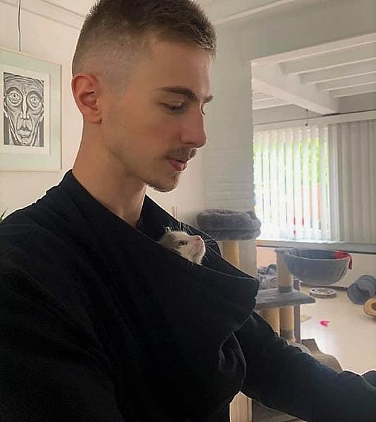 Kattenpraat
