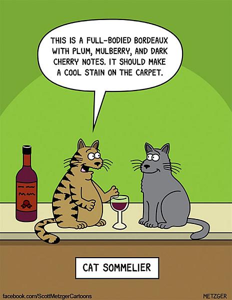 Kattenpraat