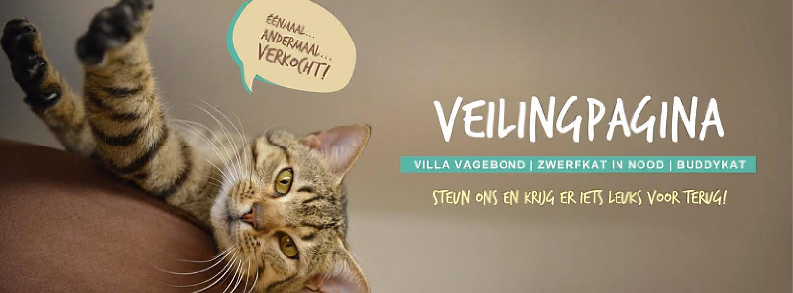 Kattenpraat
