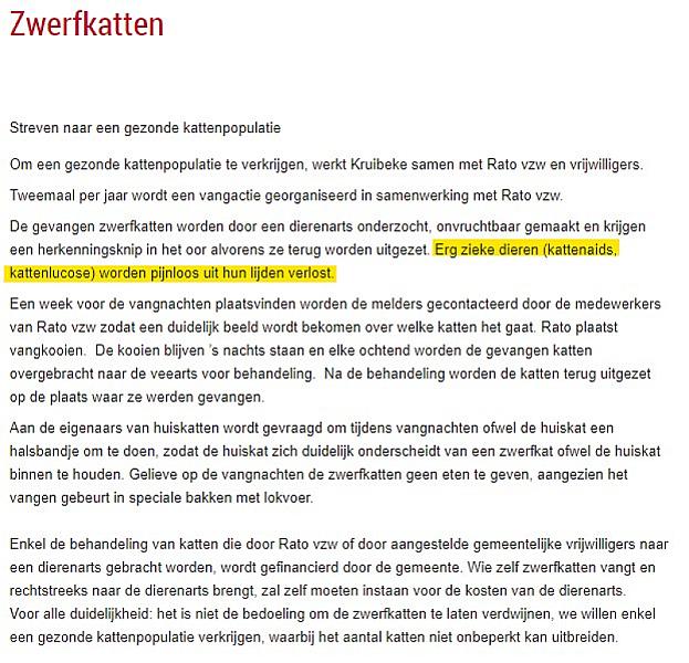 Kattenpraat