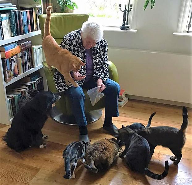 Kattenpraat