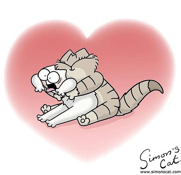 Kattenpraat