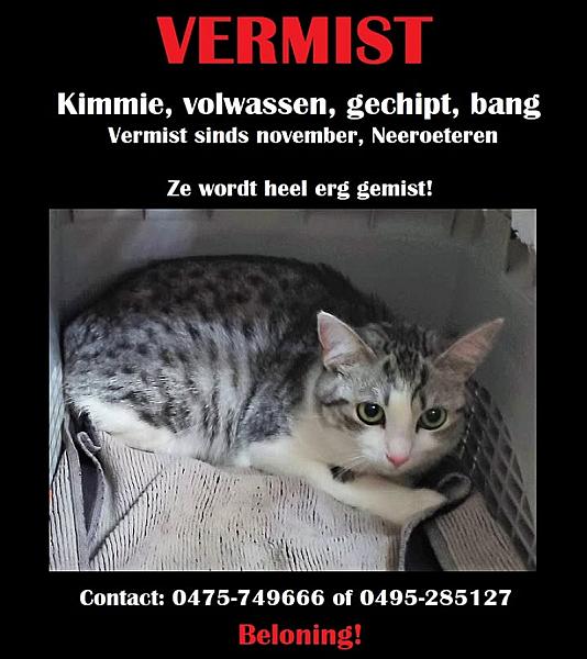 Kattenpraat