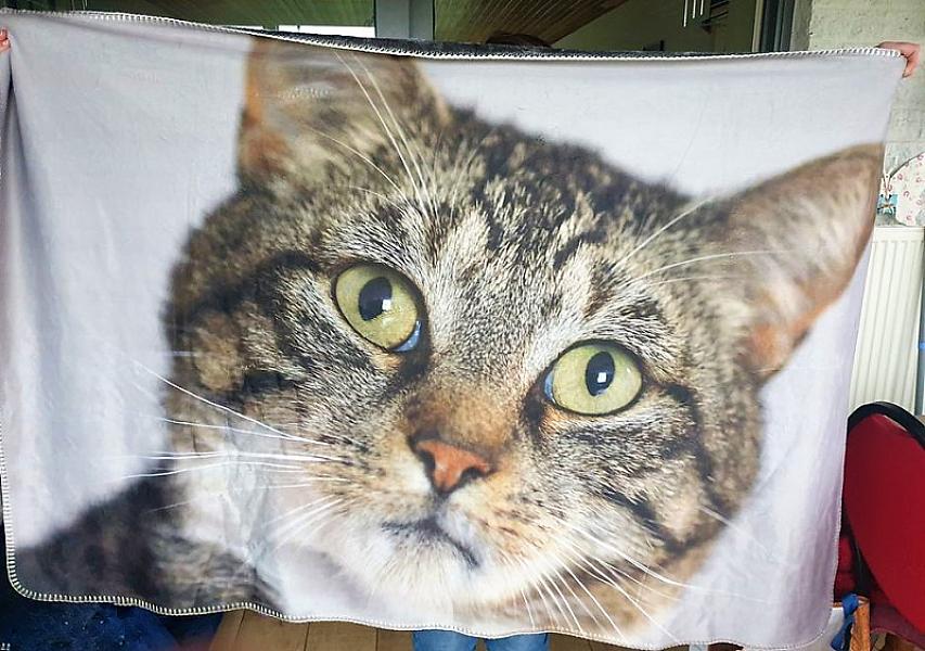 Kattenpraat