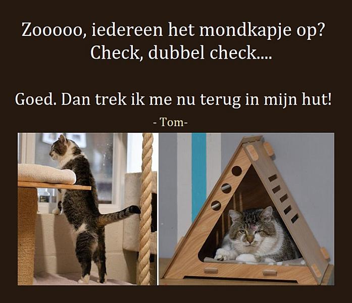 Kattenpraat
