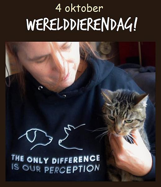 Kattenpraat