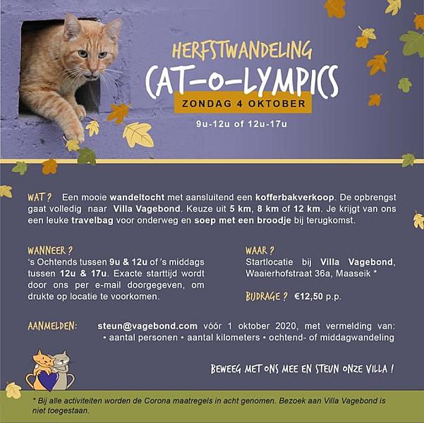 Kattenpraat