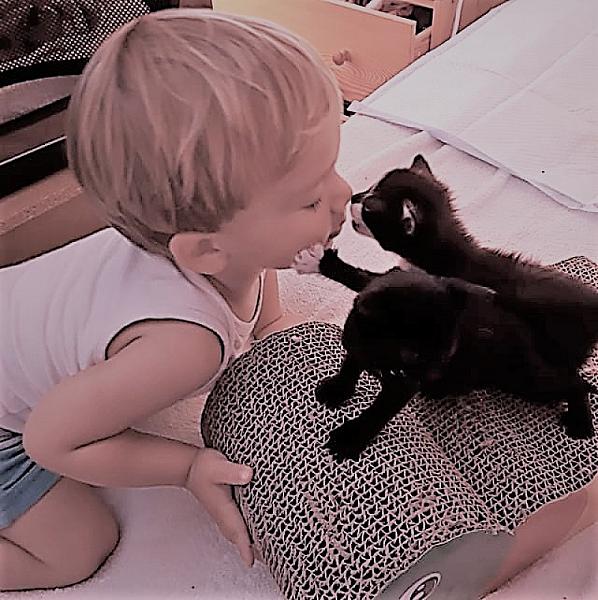 Kattenpraat