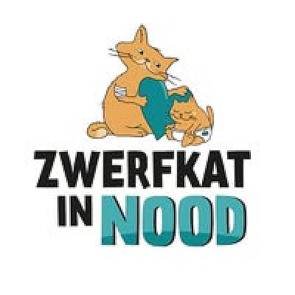 Kattenpraat