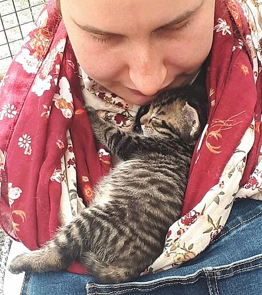 Kattenpraat