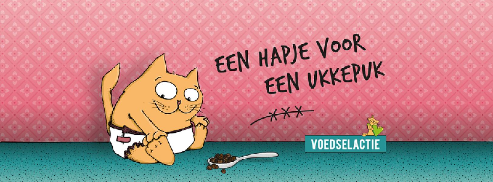 Kattenpraat