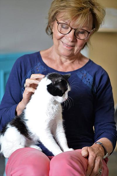 Kattenpraat