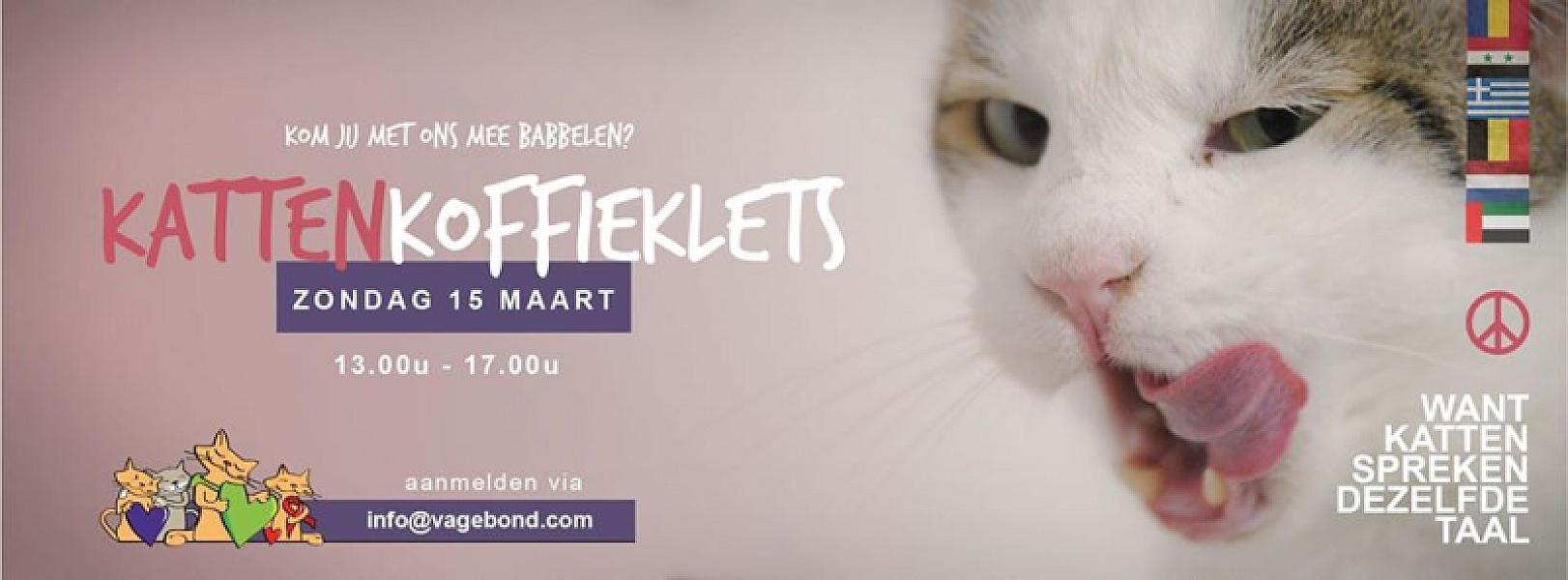 Kattenpraat