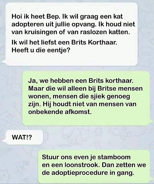 Kattenpraat