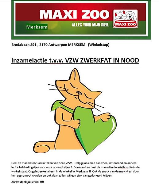 Kattenpraat