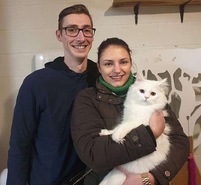 Kattenpraat