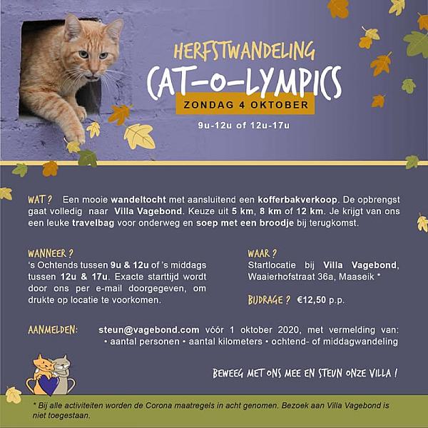 Kattenpraat