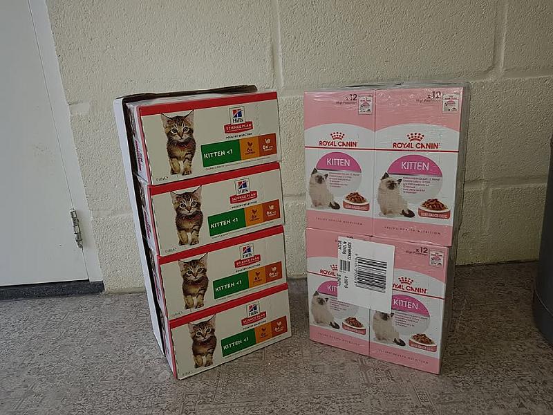 Kattenpraat