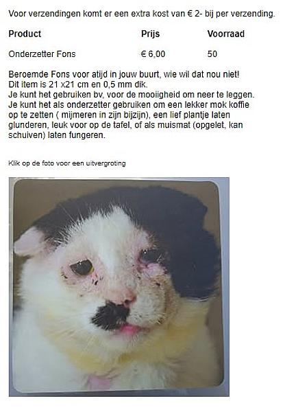 Kattenpraat
