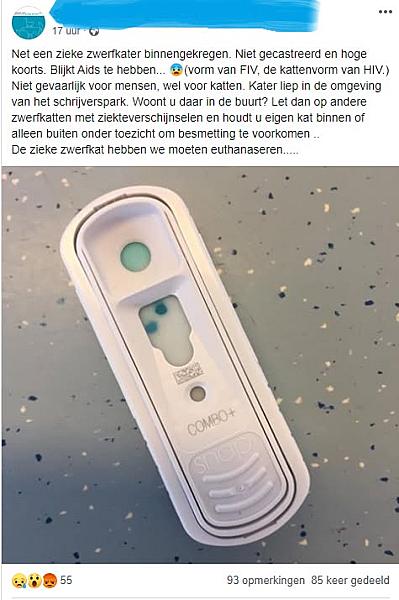 Kattenpraat