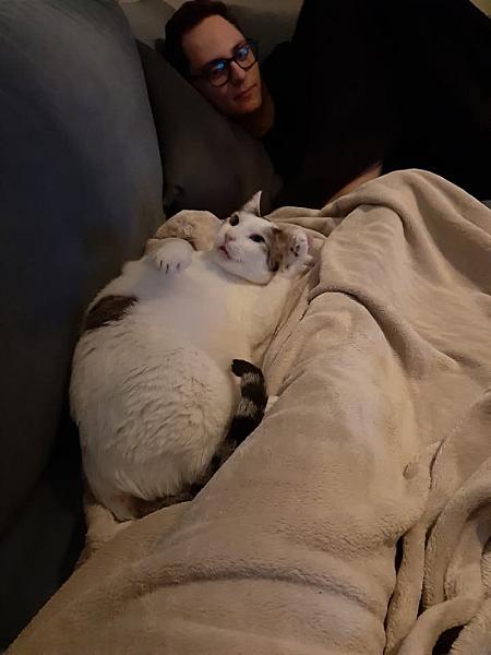 Kattenpraat