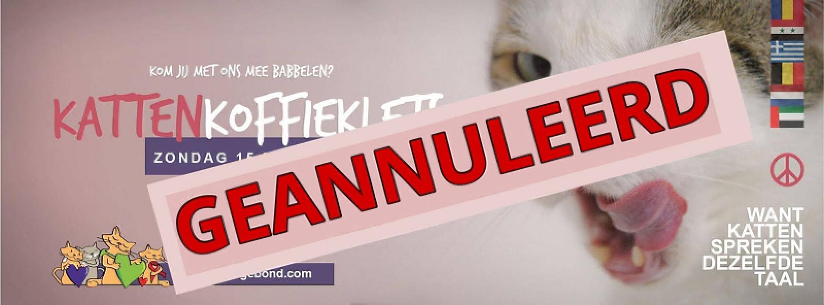 Kattenpraat