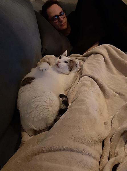 Kattenpraat
