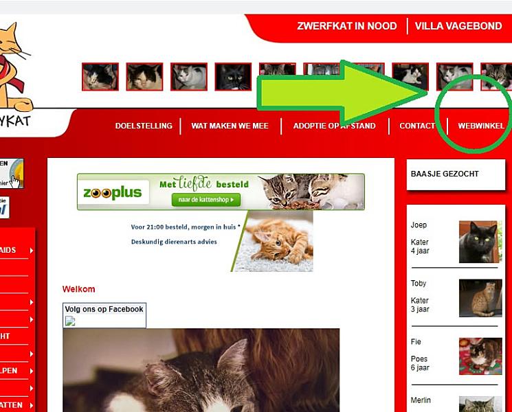 Kattenpraat