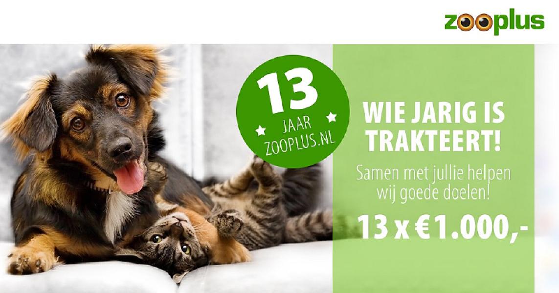 Kattenpraat