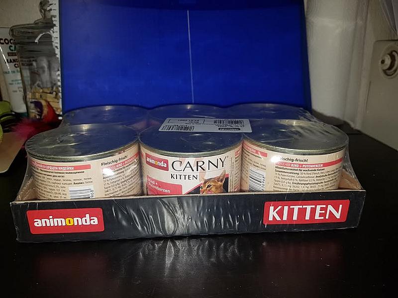 Kattenpraat