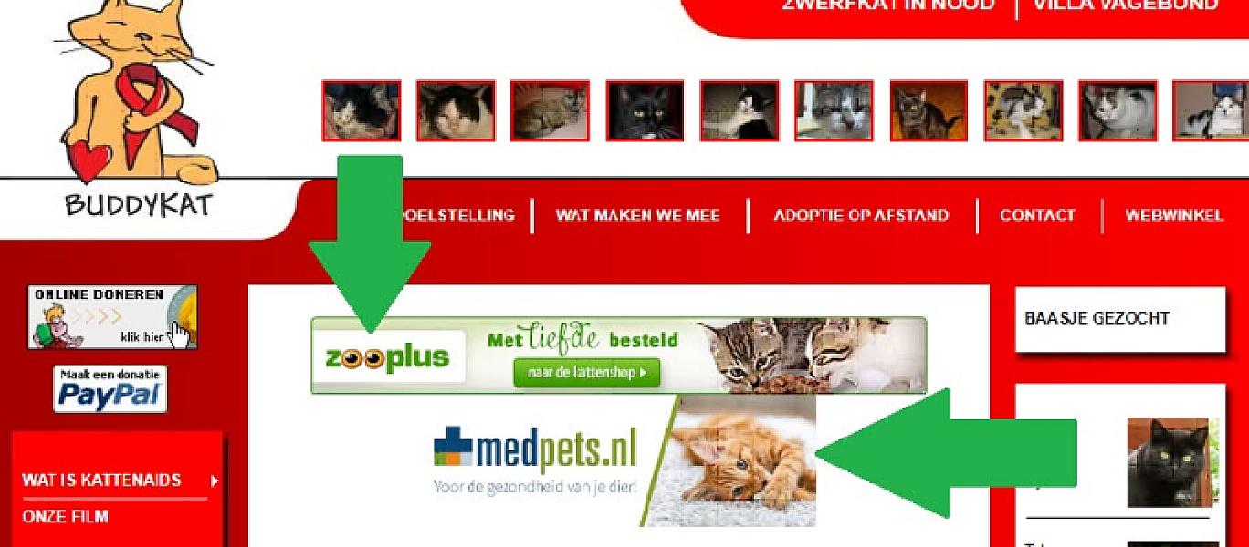Kattenpraat