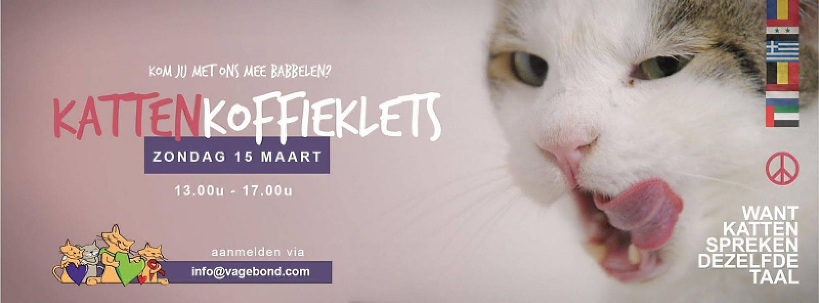 Kattenpraat