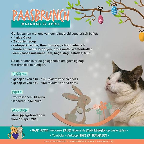 Kattenpraat