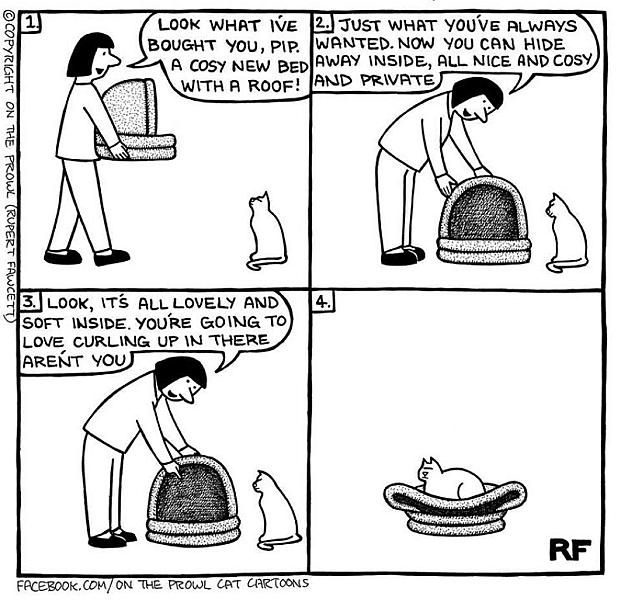 Kattenpraat