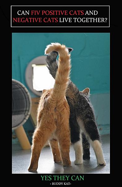 Kattenpraat