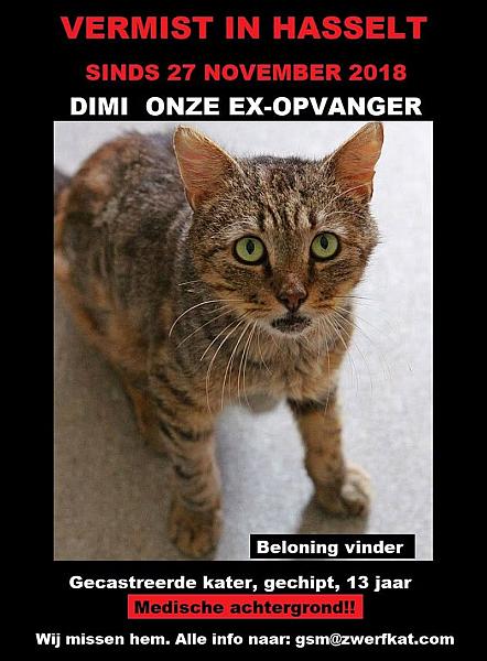 Kattenpraat