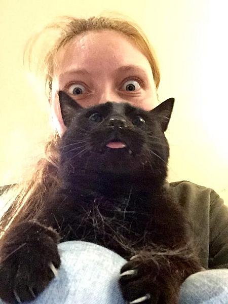 Kattenpraat
