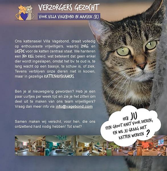 Kattenpraat