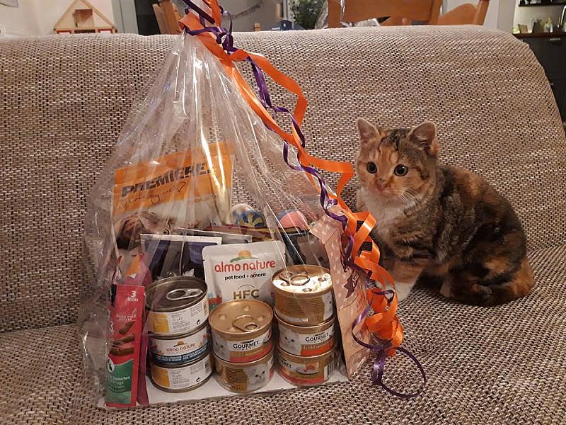 Kattenpraat