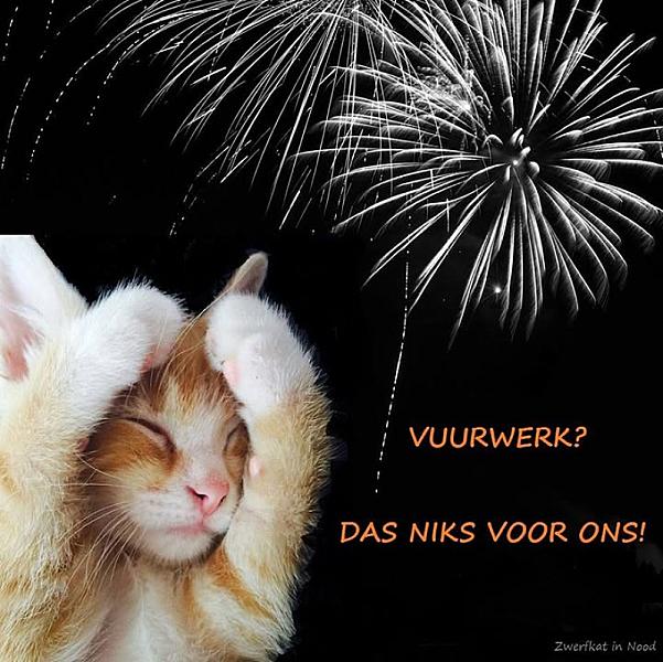 Kattenpraat