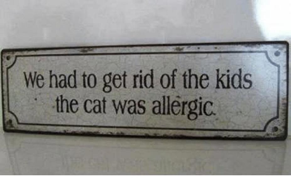 Kattenpraat
