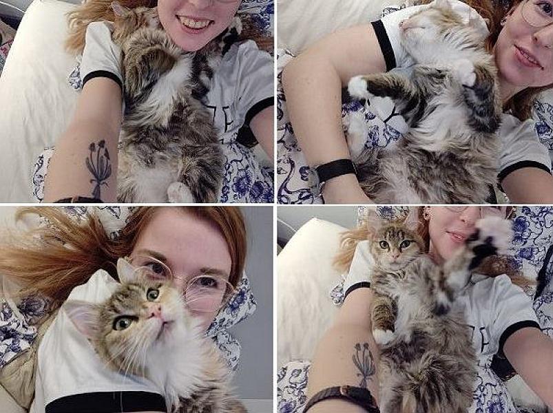 Kattenpraat