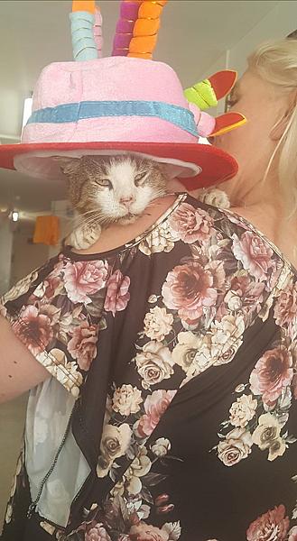 Kattenpraat